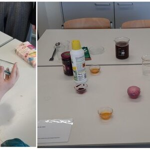 2026 SEK 5+10 Nawinachmittag 5